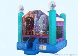 Disney Frozen 2 Bouncer