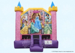 Disney Princess Bouncer